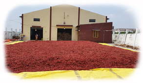 BBI Facility3