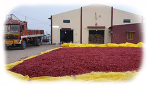 BBI Facility4