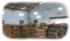BBI Facility5